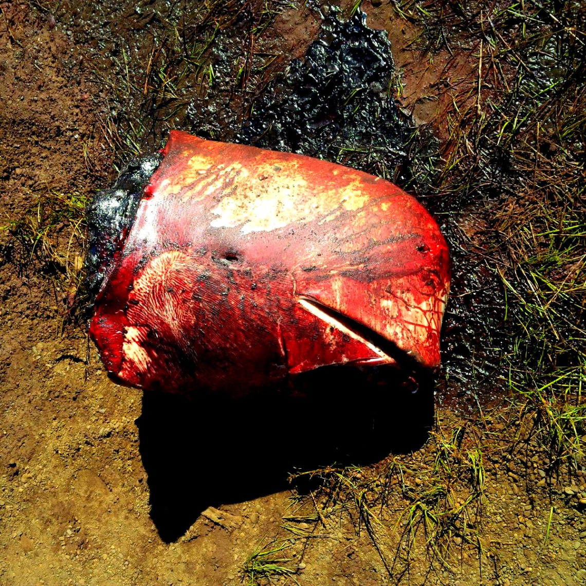 img_20150730_154504-1